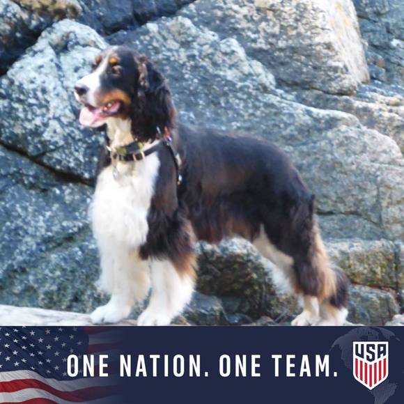 Meet your Posher, Betty - Picture 1 of 1